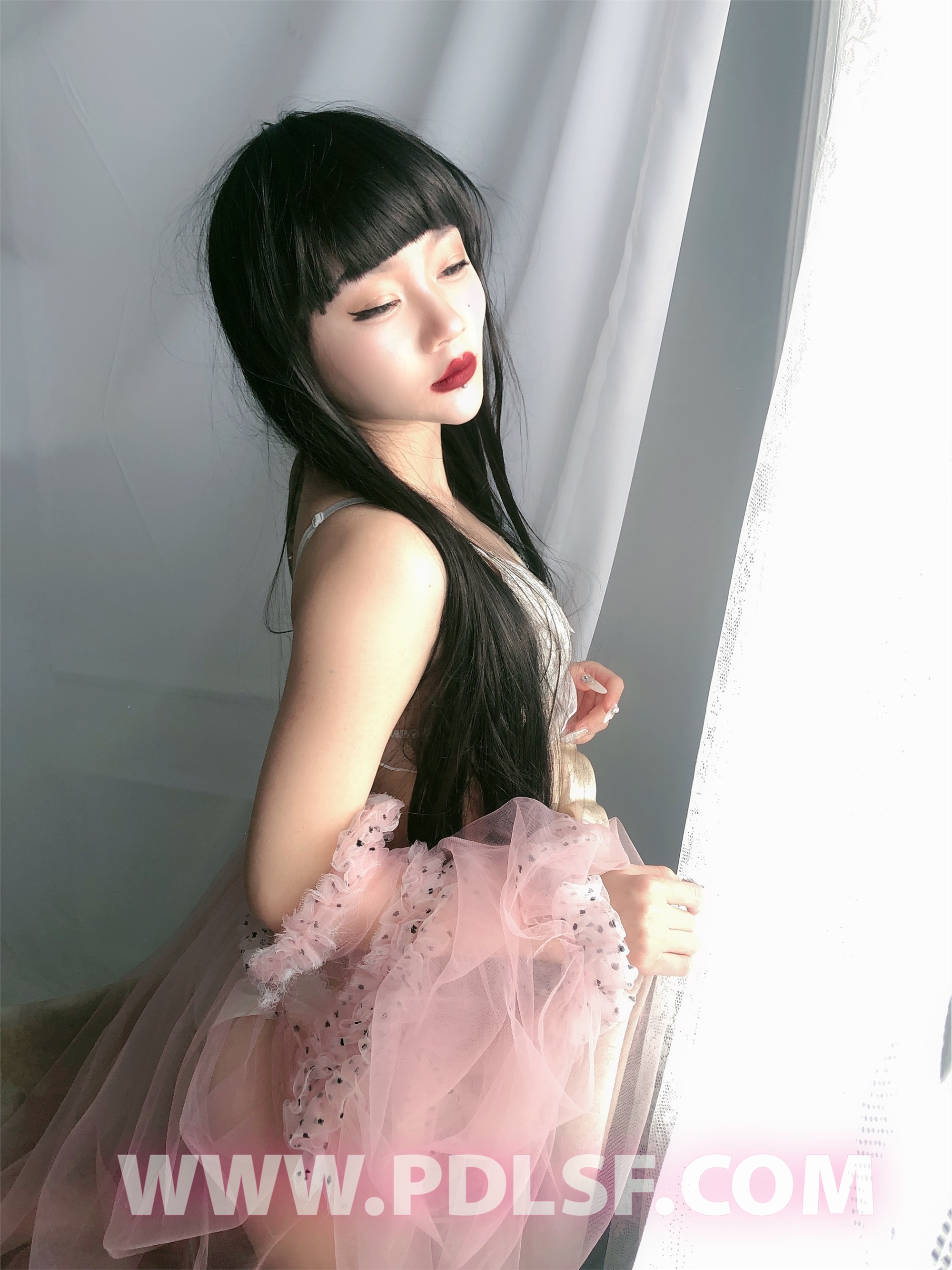 PDL潘多拉 2020.02.03 专辑No.275